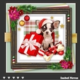 Dog Days Of Christmas 2