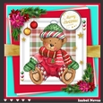 Cutest Christmas Animals 4