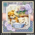 Spring Garden Cats and Dogs 2