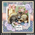 Spring Garden Cats and Dogs 3