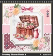 Country Charm Picnic 2