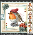 Pretty Winter Birds Card & Topper Set