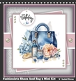 Fashionista Shoes And Bag