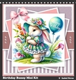 Birthday Bunny