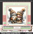 Winter Gnome Couple