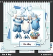 Its A Boy