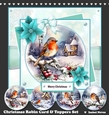 Christmas Robin Card & Toppers Set