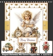 Elegant Christmas Mix Card and Toppers Set
