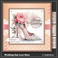 Wedding Day Lace Shoe