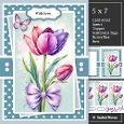 Lovely Tulip For You