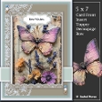 Wings Of Wonder Butterfly Lace 2