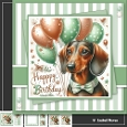 Male Happy Birthday Puppy 2