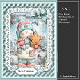 5x7 ~ Cute Christmas Snowman