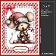 5x7 ~ Cute Christmas Mouse