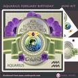Zodiac February Aquarius Decoupage Mini Kit 1
