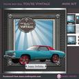 You're Not Old You're Vintage (montecarlo)