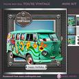 You're Not Old You're Vintage (vwsmilevan)