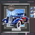 You're Not Old, You're Vintage (vintageblue)