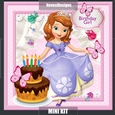 Little Princess Birthday Girl