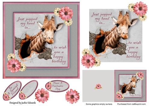 Female Birthday Giraffe Quick Card