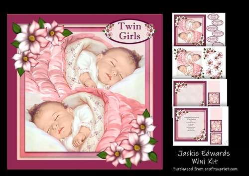 New Baby Twin Girls Mini Kit