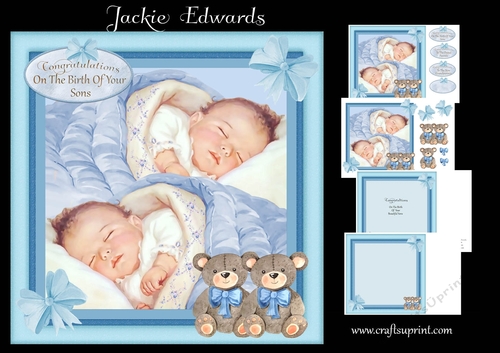 Baby Boy Twins