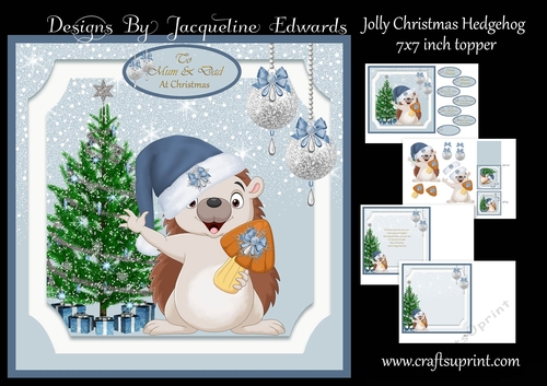Jolly Christmas Hedgehog Mini Kit
