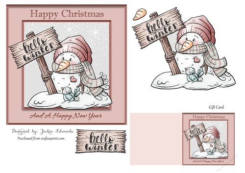 Christmas  Snowman And Bird