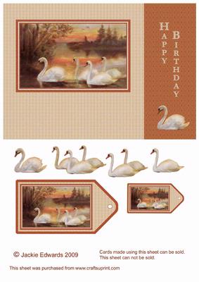 The Swan Family Card Front