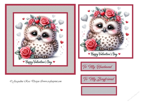 Valentines day Cute Owl