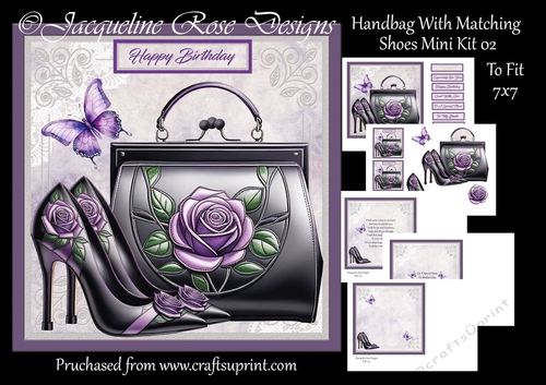Handbag And Matching Shoes Mini Kit 02