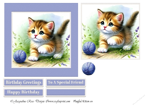 Playful Kitten