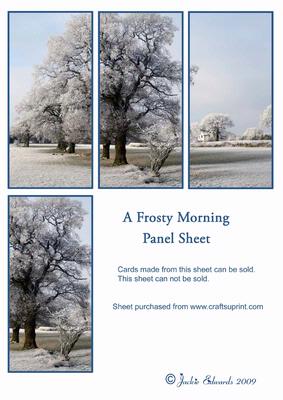 A Frosty Morning