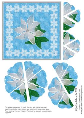 Flower Style Pyramid Card Front White Poinsettia
