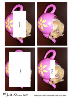 Hampster in a Tea Pot