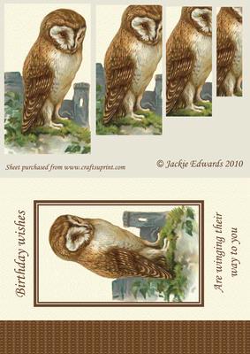 Wise Old Owl Card Front