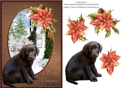 Labrador Pup & Poinsettia Christmas Card