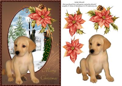 Golden Labrador Pup & Poinsettia Christmas Card