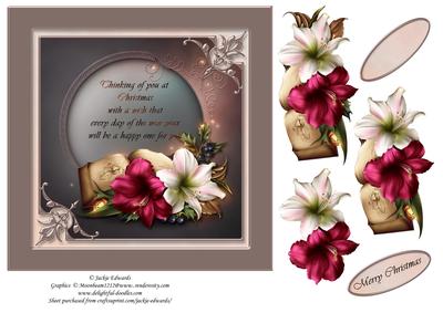 Christmas Book & Amaryllis