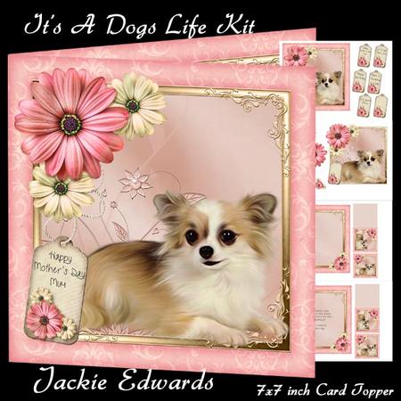 It's a Dogs Life Mini Kit