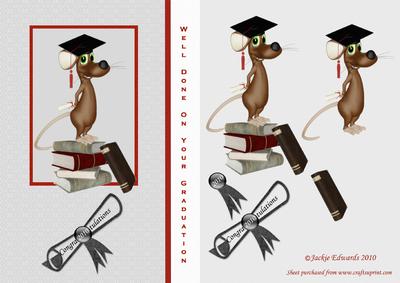 Congratulations on Your Graduation Decoupage