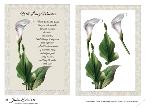 Single Lily Sympathy Card