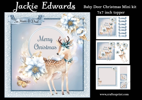 Baby Deer Christmas Mini Kit