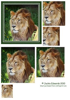 Portrait of a Lion Topper