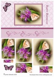 Butterfly on Mauve Flower