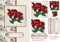 Pyramid Poinsettia Christmas Card Front