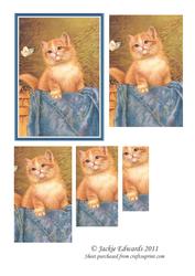 Ginger Kitten Pyramid Topper