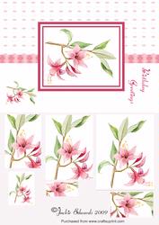 Pink Bloom Card Front