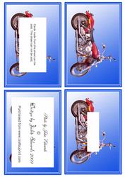 Harley Davidson 2 Tunnel Sheet
