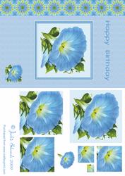 Morning Glory 2